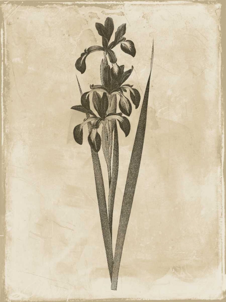 Earthy floral 2 art print by Jace Grey for $57.95 CAD