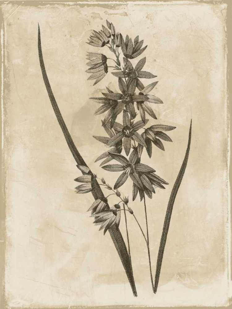Earthy  floral 3 art print by Jace Grey for $57.95 CAD