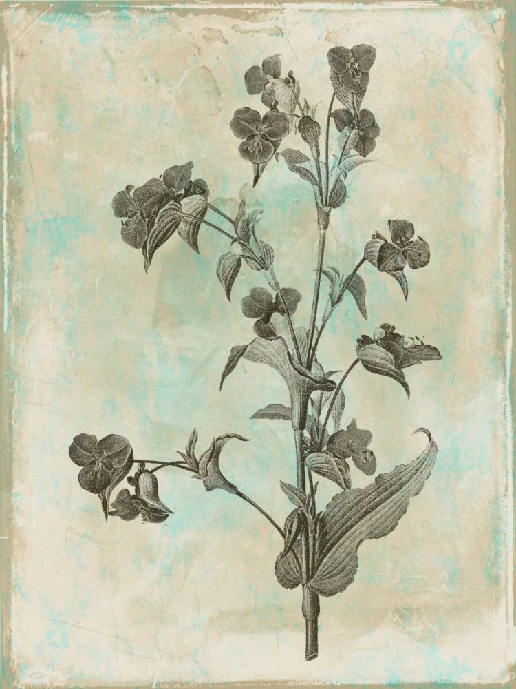 Earthy floral Mix art print by Jace Grey for $57.95 CAD