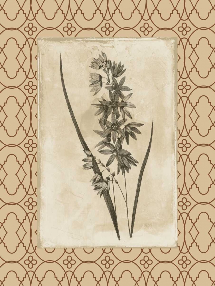 Floral bordered art print by Jace Grey for $57.95 CAD
