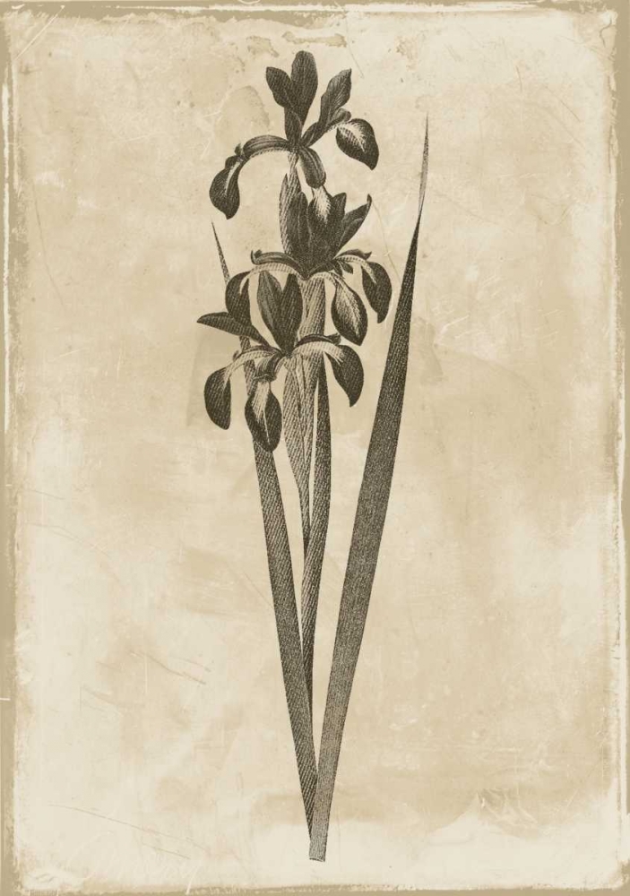 Floral Earthtone Two art print by Jace Grey for $57.95 CAD