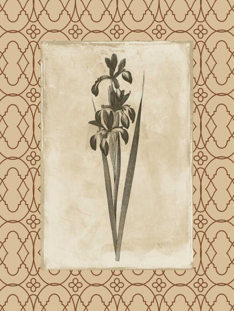 Floral bordered 2 art print by Jace Grey for $57.95 CAD