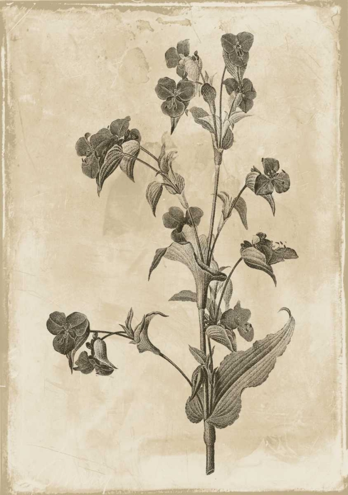 Floral Earthtone Three art print by Jace Grey for $57.95 CAD