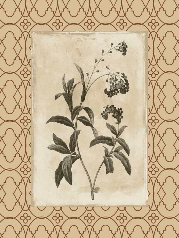 Floral bordered 4 art print by Jace Grey for $57.95 CAD