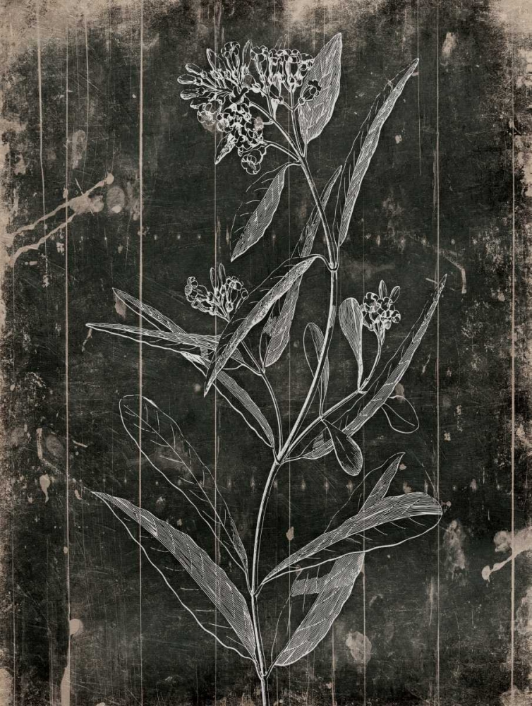 Wood Floral art print by Jace Grey for $57.95 CAD