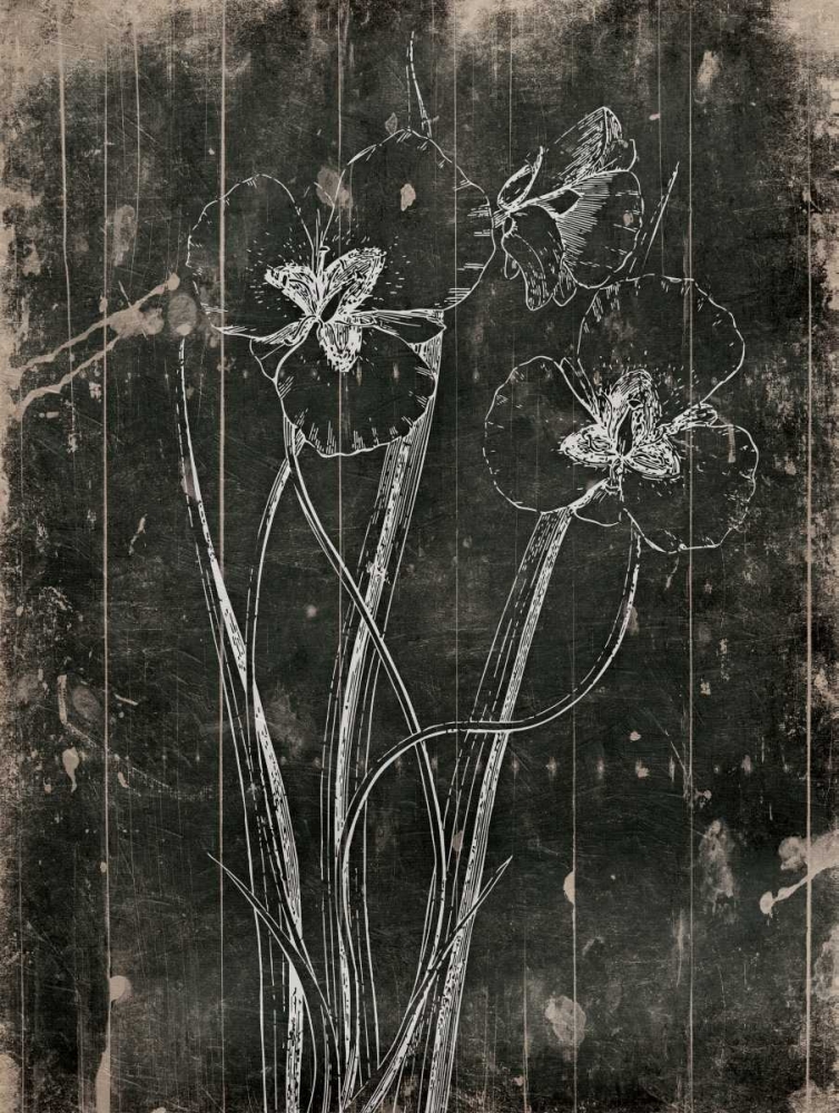 Black Wood art print by Jace Grey for $57.95 CAD