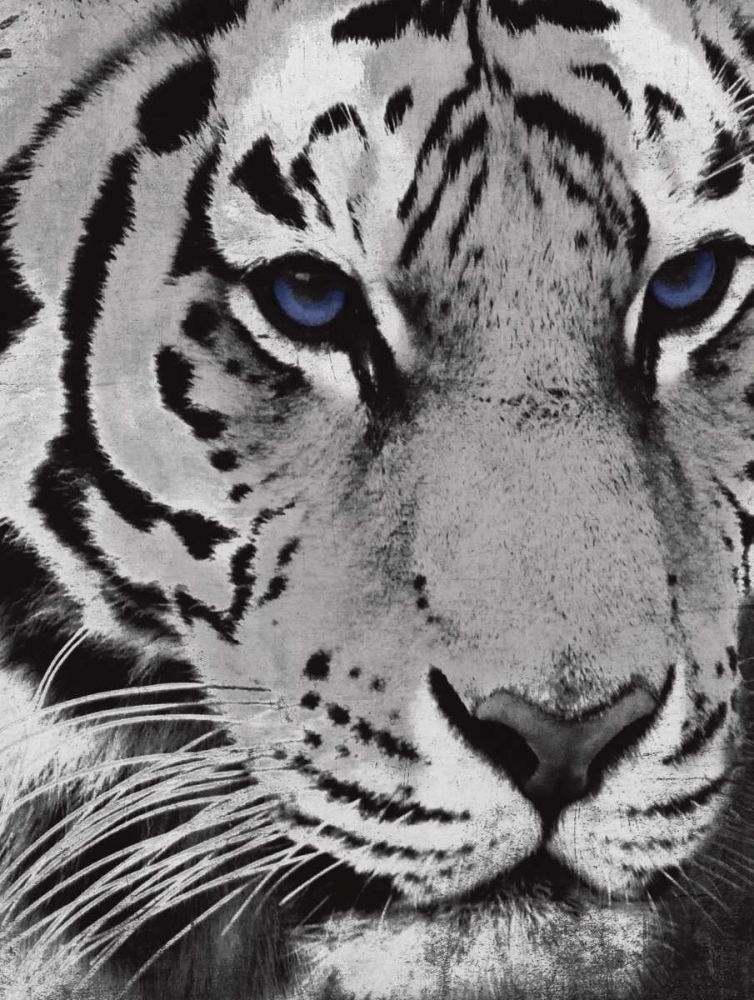 Purple Eyes art print by Jace Grey for $57.95 CAD
