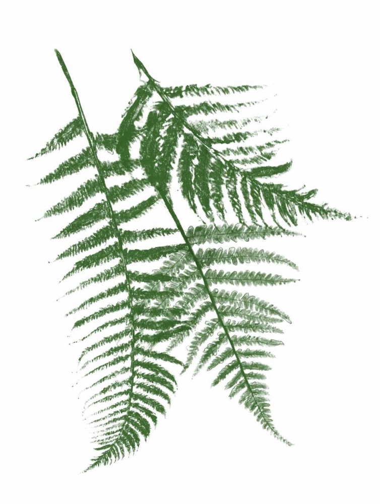Green Ferns Mate art print by Jace Grey for $57.95 CAD