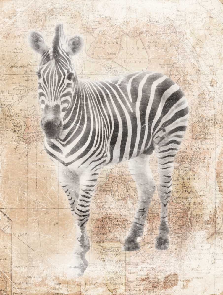African Zebra art print by Jace Grey for $57.95 CAD