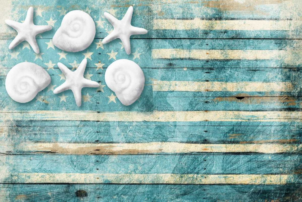 Coastal American Flag art print by Jace Grey for $57.95 CAD