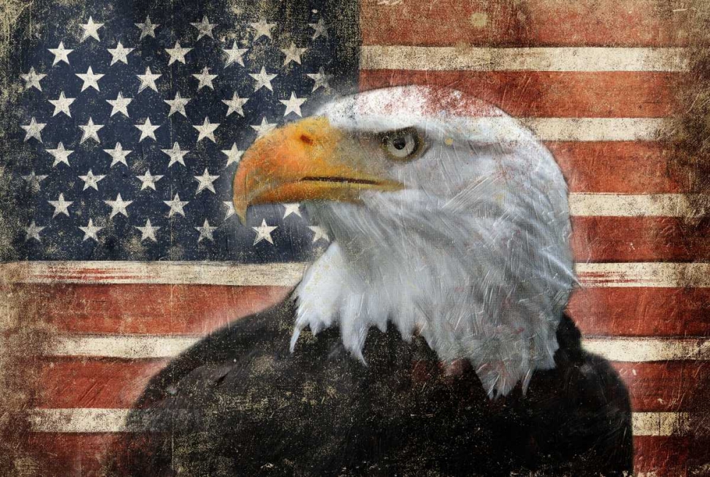 Eagle and Flag art print by Jace Grey for $57.95 CAD