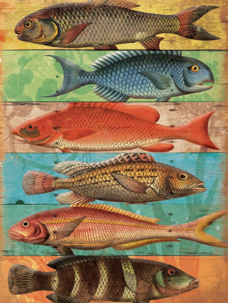 Fish Wall art print by Jace Grey for $57.95 CAD