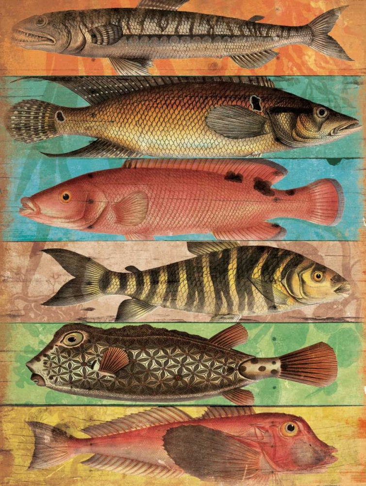 Fish Wall Mate art print by Jace Grey for $57.95 CAD