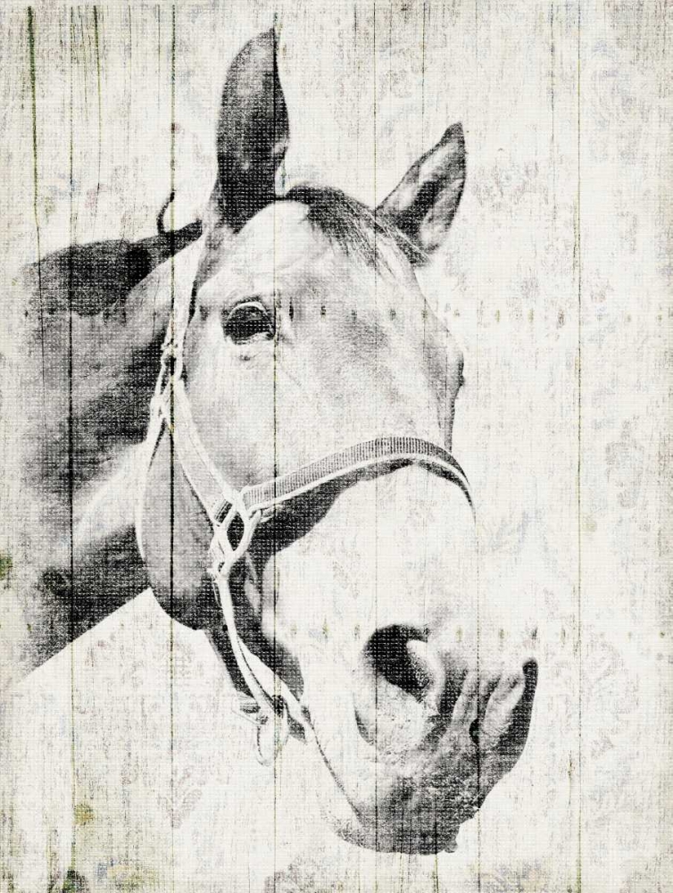 Vintage Horse art print by Jace Grey for $57.95 CAD