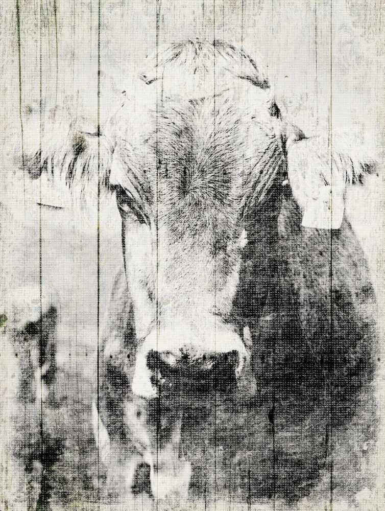 Vintage Cow art print by Jace Grey for $57.95 CAD