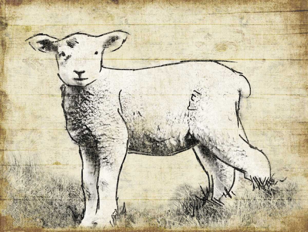 Vintage Lamb Sketch art print by Jace Grey for $57.95 CAD