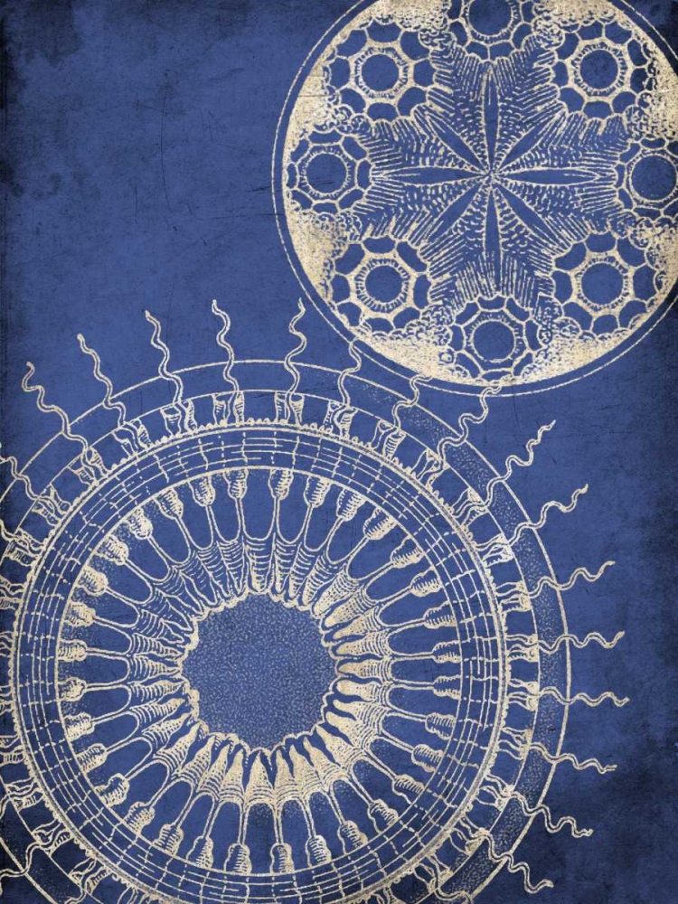 Coastal Indigo Pattern art print by Jace Grey for $57.95 CAD