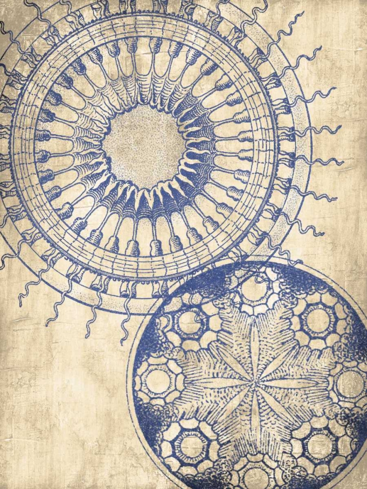 Coastal Indigo Pattern Mate art print by Jace Grey for $57.95 CAD