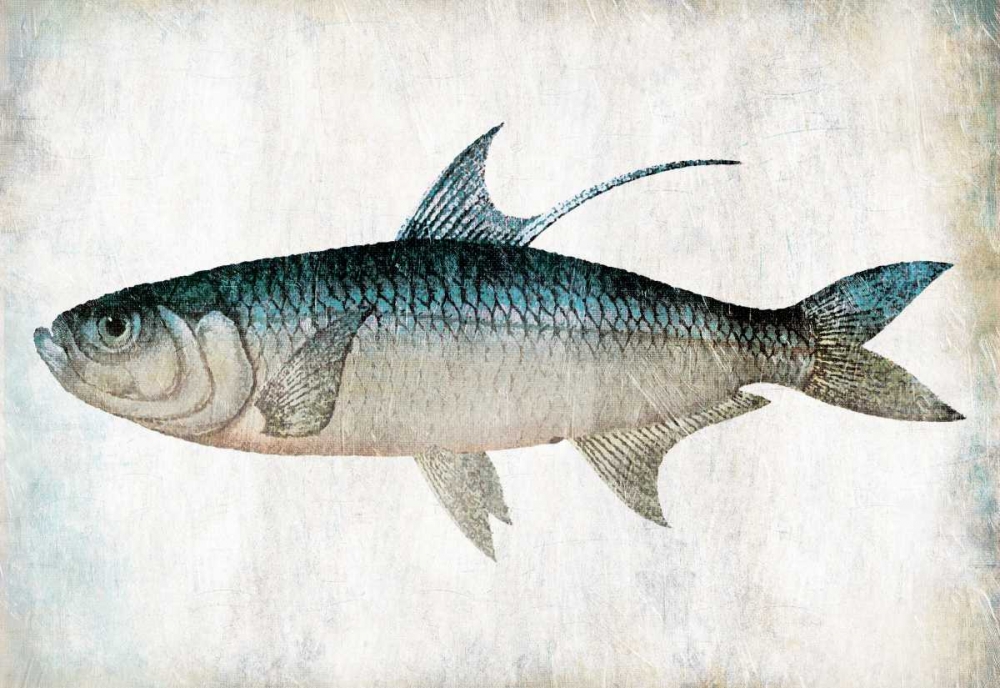 Blue Fish art print by Jace Grey for $57.95 CAD