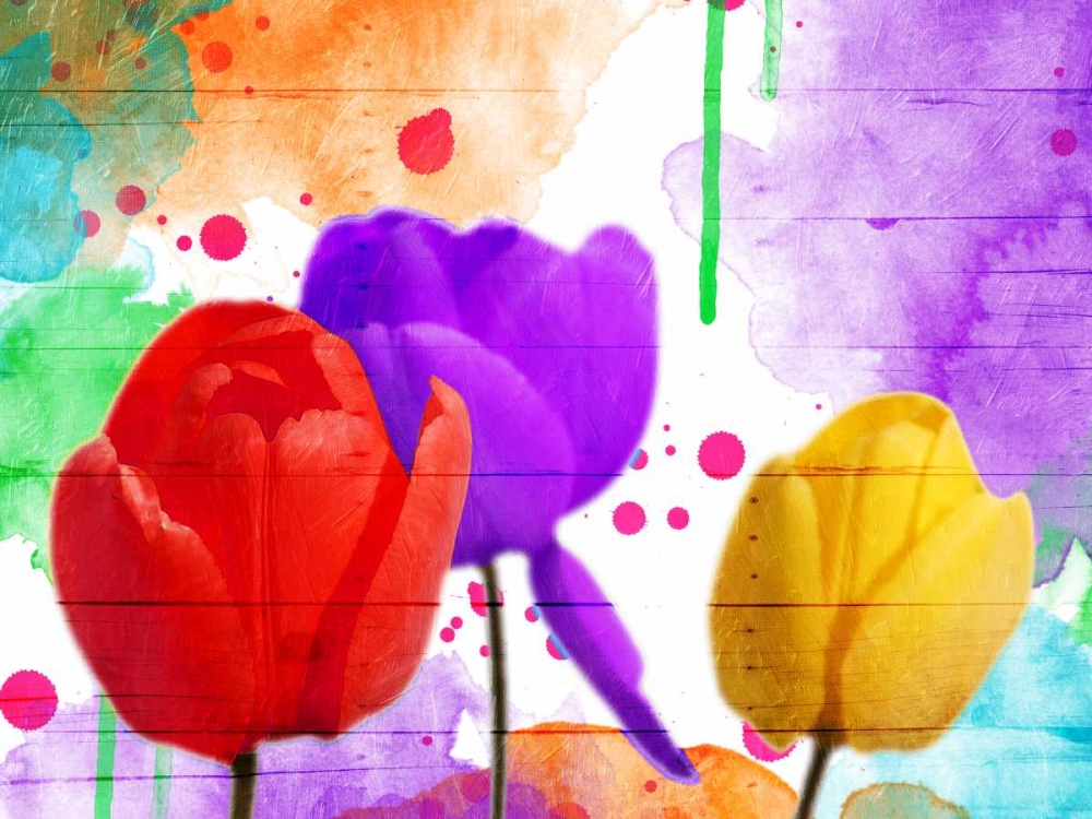 Fun Tulips art print by Jace Grey for $57.95 CAD