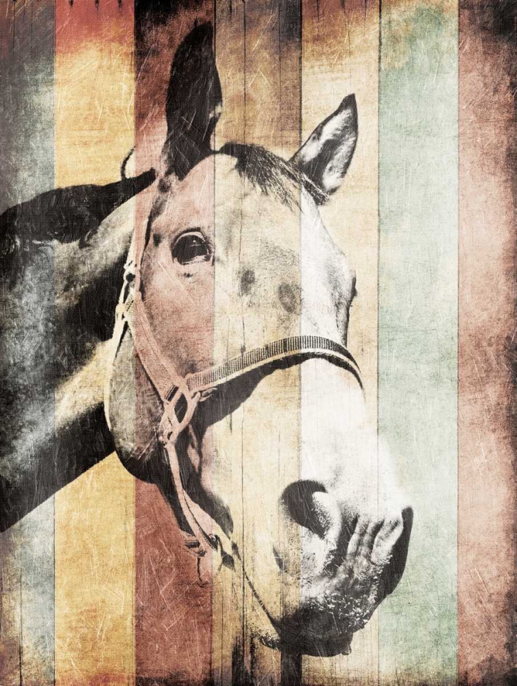 Miultiwood Vintage Horse art print by Jace Grey for $57.95 CAD