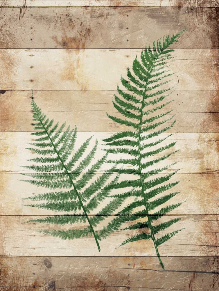 Ferns On Wood art print by Jace Grey for $57.95 CAD