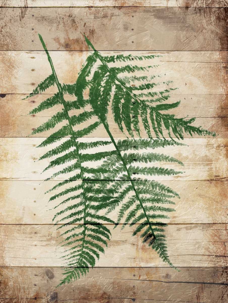 Ferns On Wood Mate art print by Jace Grey for $57.95 CAD
