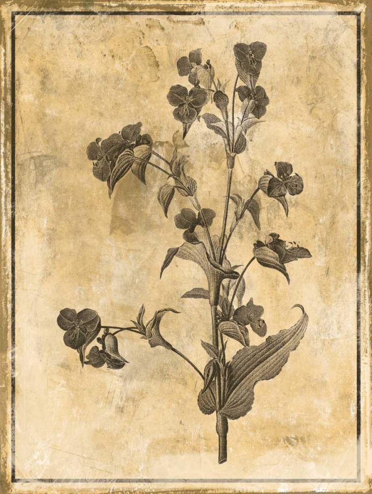 Stencil Floral art print by Jace Grey for $57.95 CAD