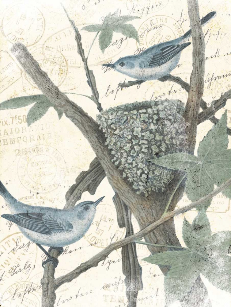 Bird Mail art print by Jace Grey for $57.95 CAD