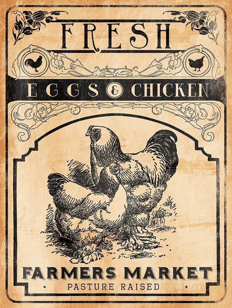 Eggs Chicken art print by Jace Grey for $57.95 CAD