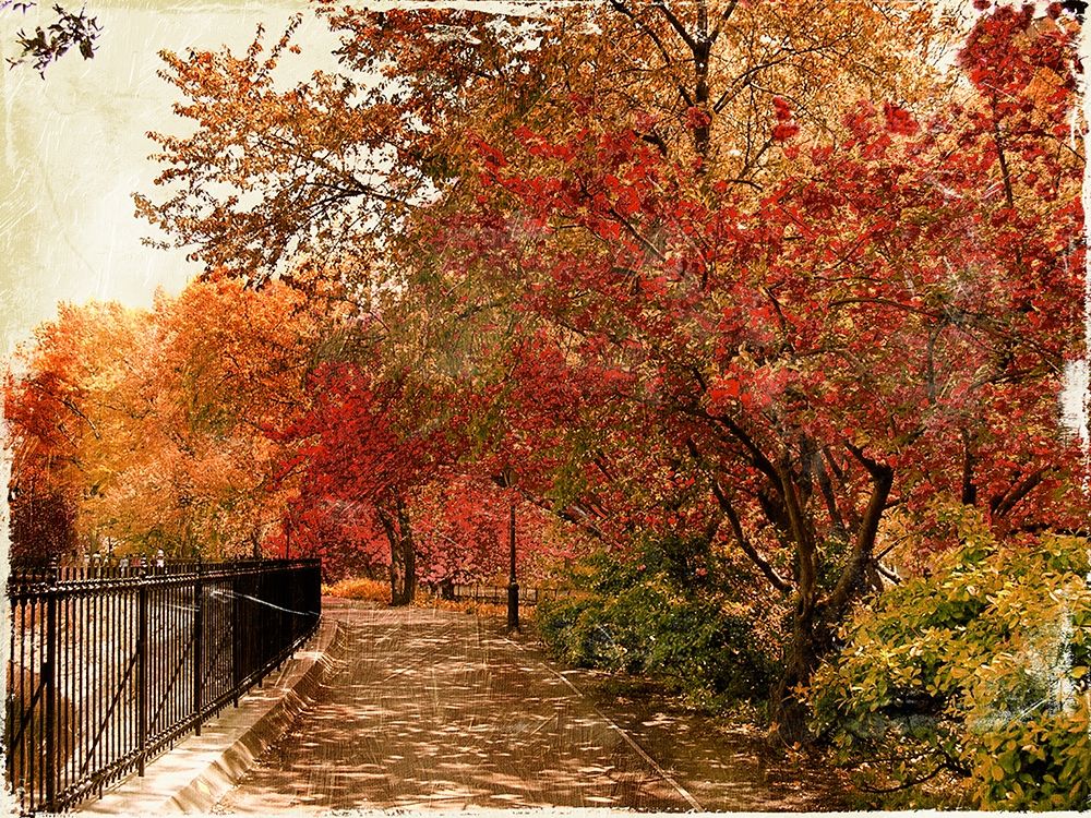NY Fall art print by Jace Grey for $57.95 CAD