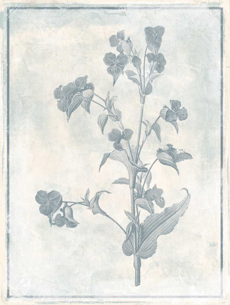 Sky Floral Cleaner art print by Jace Grey for $57.95 CAD