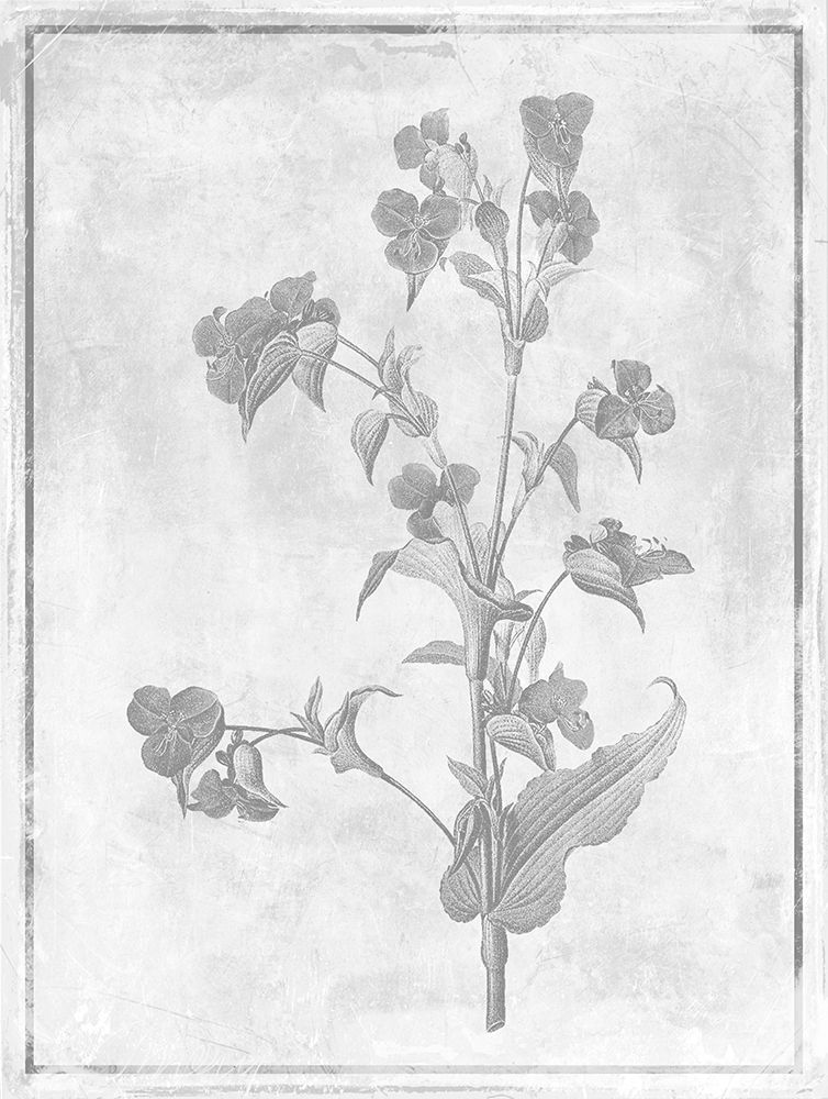 Monochrome Floral Cleaner 1 art print by Jace Grey for $57.95 CAD
