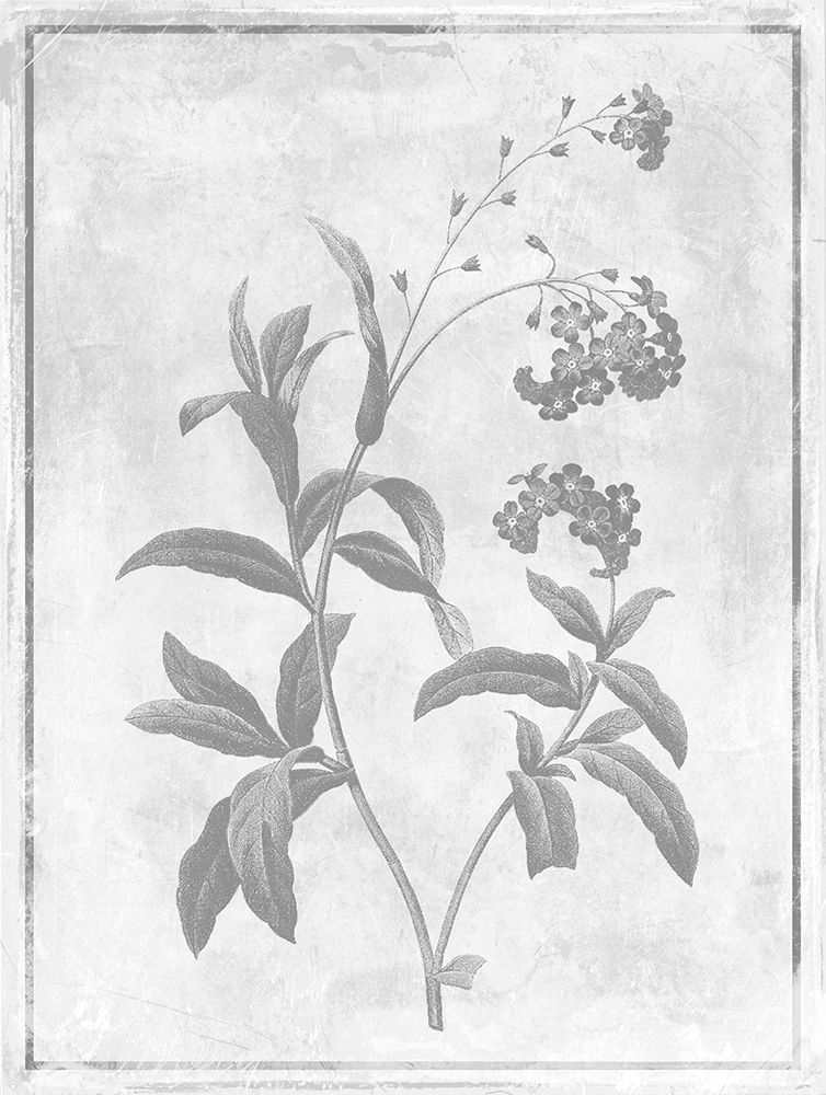 Monochrome Floral Cleaner 2 art print by Jace Grey for $57.95 CAD