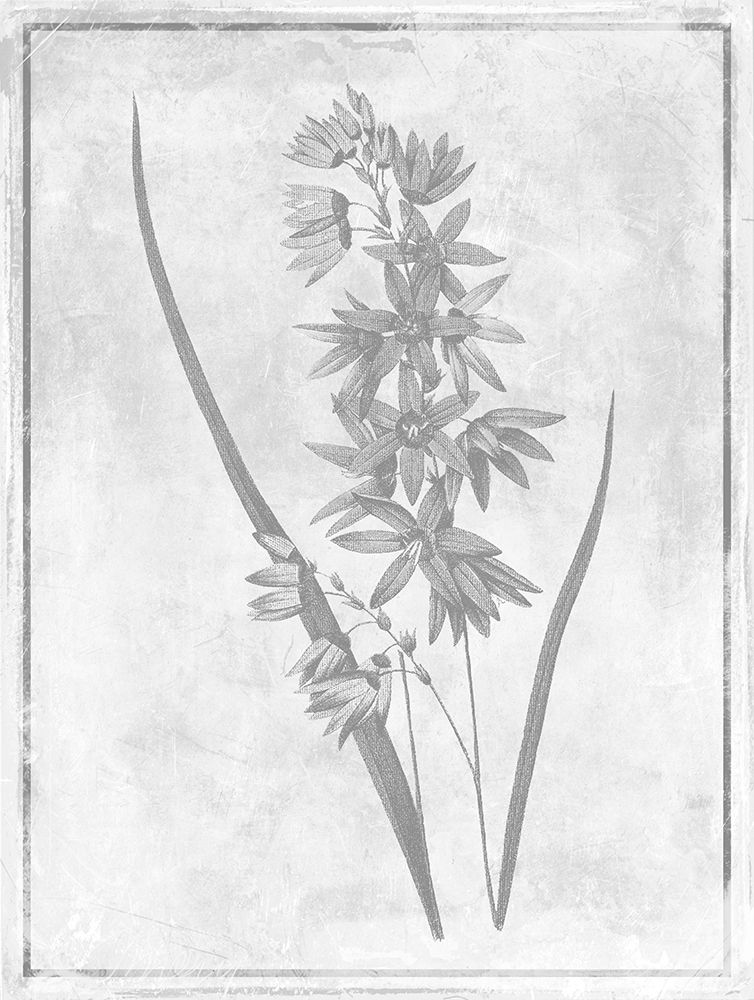 Monochrome Floral Cleaner 3 art print by Jace Grey for $57.95 CAD