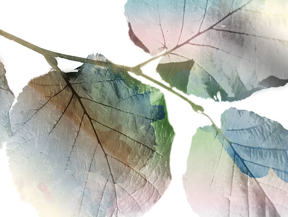 Land Ombre art print by Jace Grey for $57.95 CAD