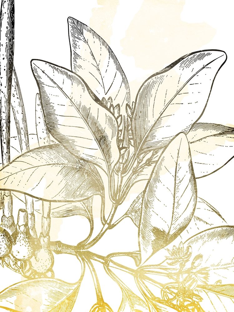 Fade Botanicals Mate art print by Jace Grey for $57.95 CAD
