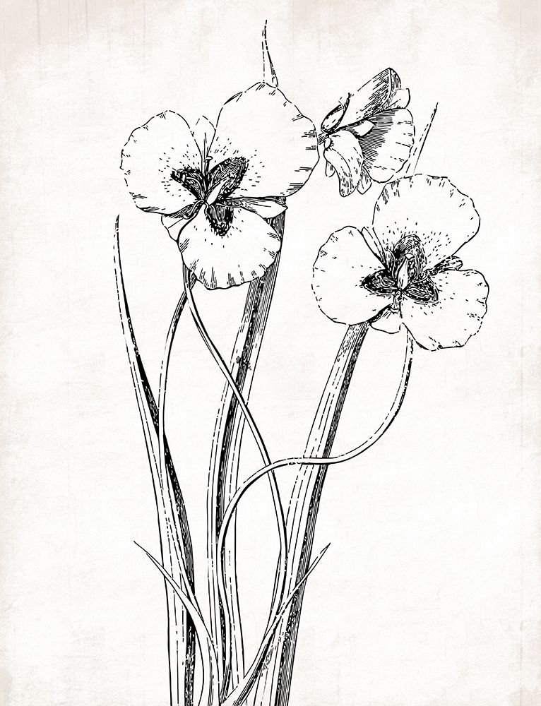 Cream Black Florals Mate art print by Jace Grey for $57.95 CAD