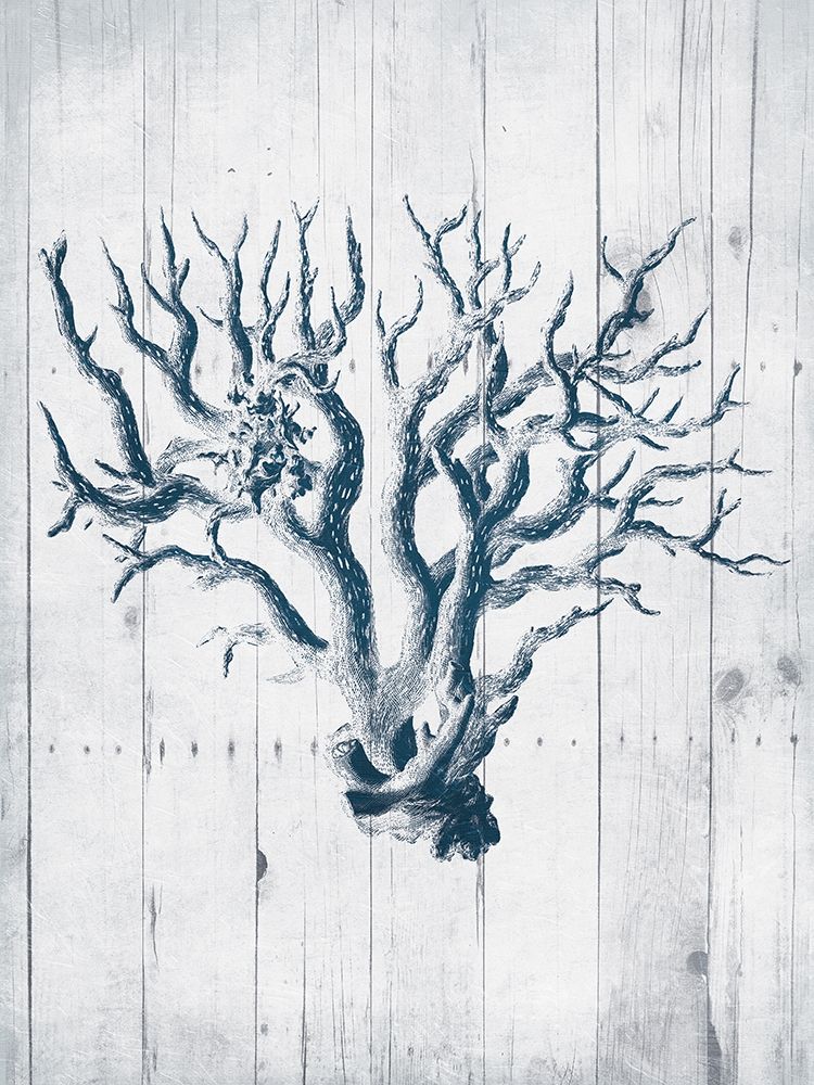Coral White Wood Mate art print by Jace Grey for $57.95 CAD