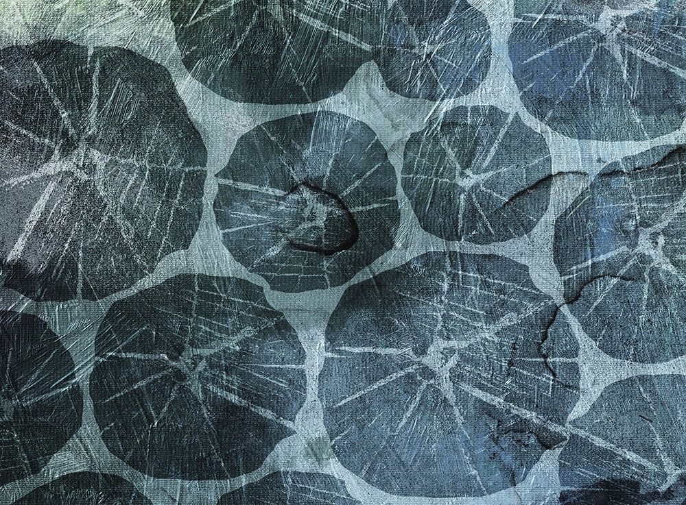Muted Shells art print by Jace Grey for $57.95 CAD