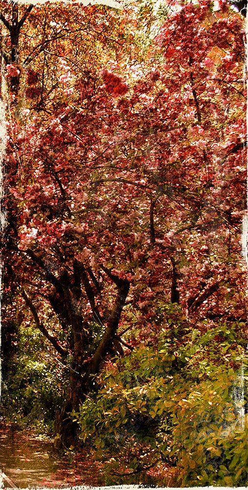 Ny Fall Trees art print by Jace Grey for $57.95 CAD