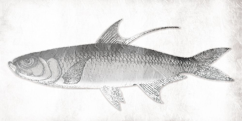 Grey Fish art print by Jace Grey for $57.95 CAD