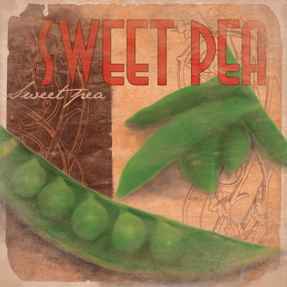 Sweet Pea art print by Jace Grey for $57.95 CAD