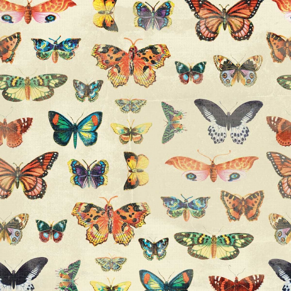 Butterfly art print by Jace Grey for $57.95 CAD