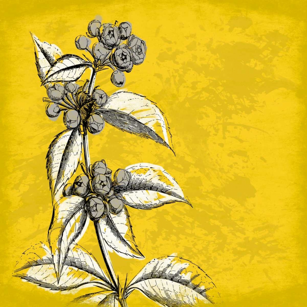 Flowers 3 art print by Jace Grey for $57.95 CAD