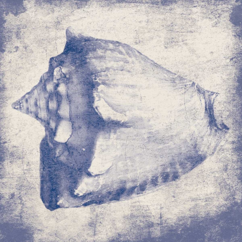 Conch shell art print by Jace Grey for $57.95 CAD