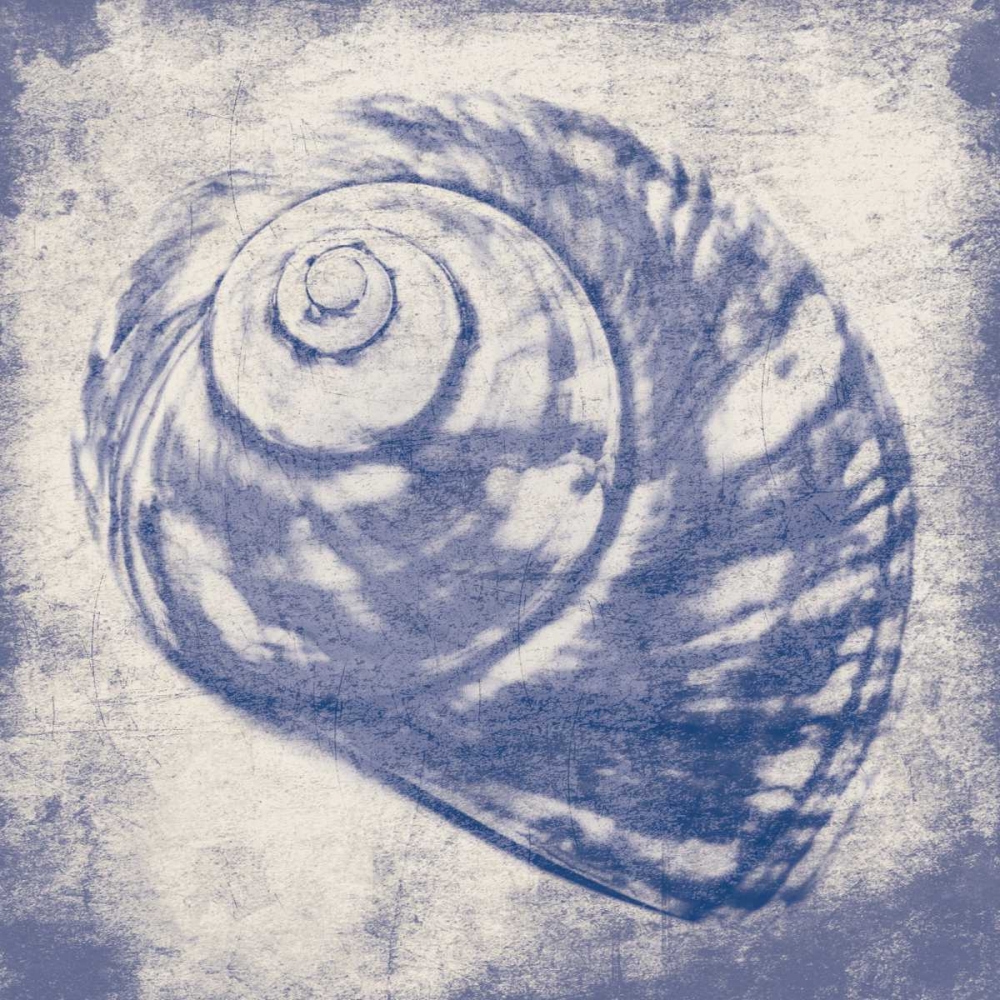 shell art print by Jace Grey for $57.95 CAD