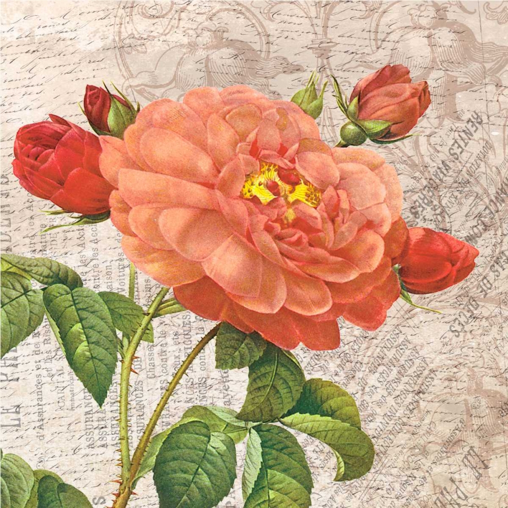 flowers art print by Jace Grey for $57.95 CAD
