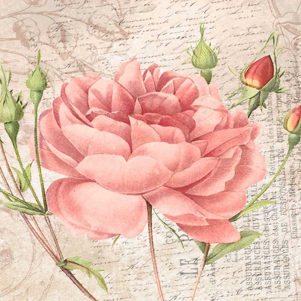 flowers art print by Jace Grey for $57.95 CAD