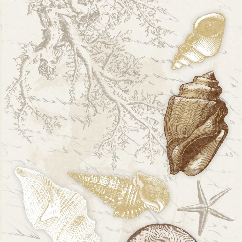 Shel 1 art print by Jace Grey for $57.95 CAD